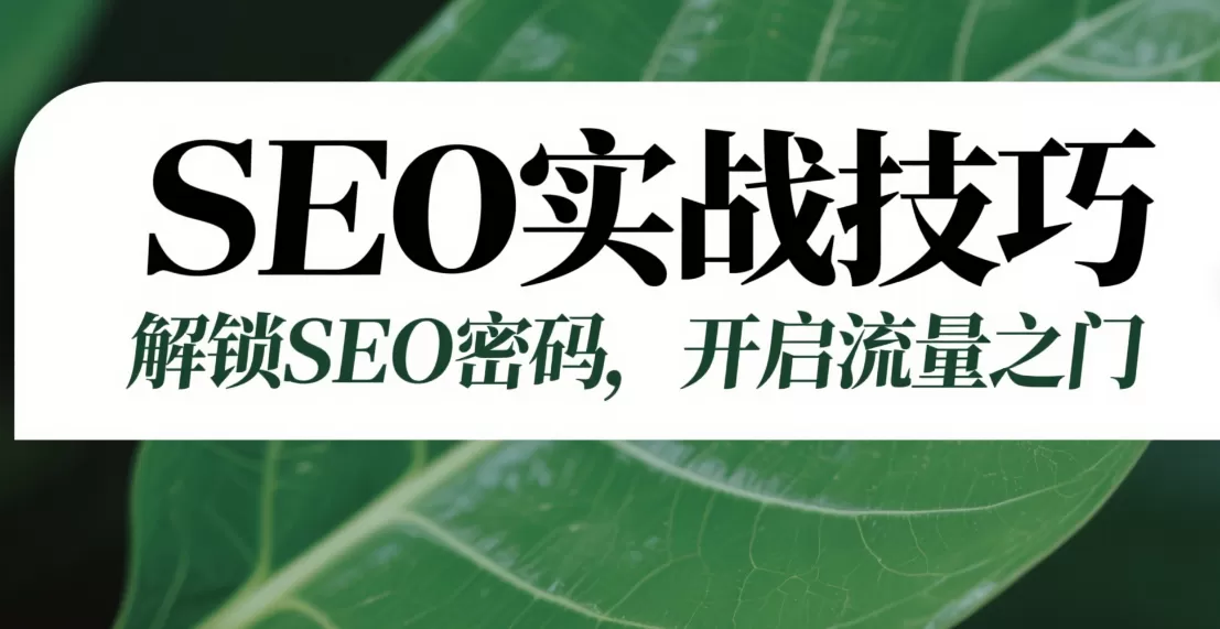 SEO优化技巧:打造高效流量入口的实用指南插图 SEO优化技巧:打造高效流量入口的实用指南插图