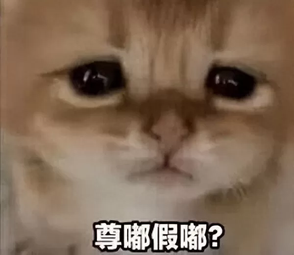学计算机更容易找女朋友?尊嘟假嘟?内行人揭秘真相太意外-会懂网
