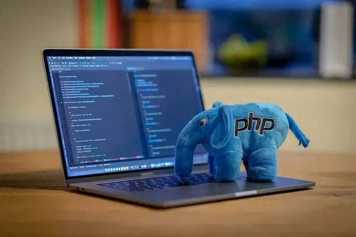 2023年学PHP还有价值吗?能否助你成高收入人上人答案太意外插图 2023年学PHP还有价值吗?能否助你成高收入人上人答案太意外插图