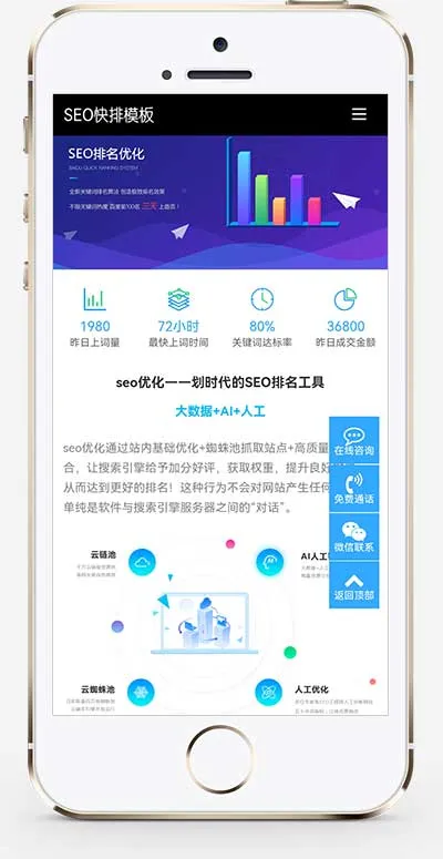 (自适应移动端)seo快排网站pbootcms模板 IT网络软件网站源码下载-会懂网
