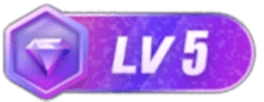 等级-LV5-会懂网