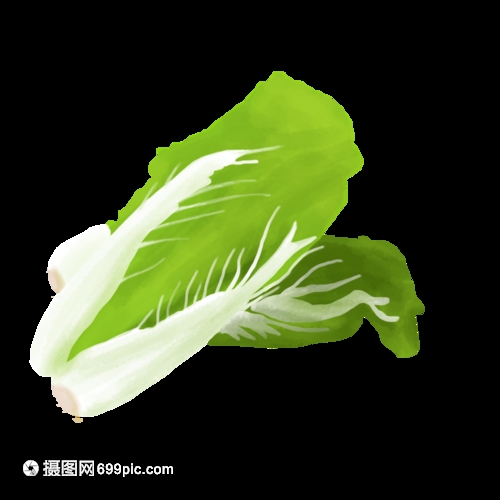 在家怎样种小白菜：新手必看的阳台种植全攻略插图1