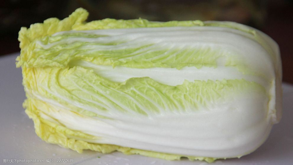 种白菜季节指南：最佳种植时间与技巧解析插图1
