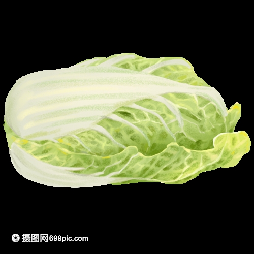 小白菜种了一个月还是苗？5大原因解析及补救方法插图2