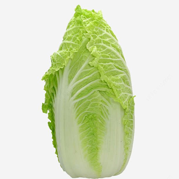 今年哪天种白菜合适？2024最佳种植时间指南插图1