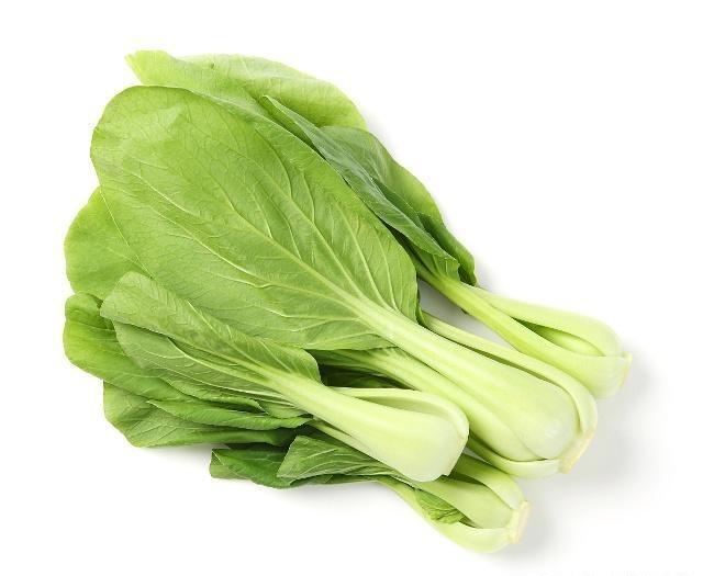 大白菜每亩用种量详解:科学种植提高产量插图2 大白菜每亩用种量详解:科学种植提高产量插图2