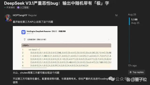 DeepSeek V3.1 “极” 字 bug 大揭秘:表现、防范、原因及解决时间-会懂网