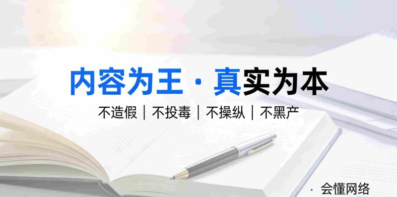 会懂网络：为 GEO 正名，拒绝黑产，拒绝投毒 AI 搜索引擎插图3