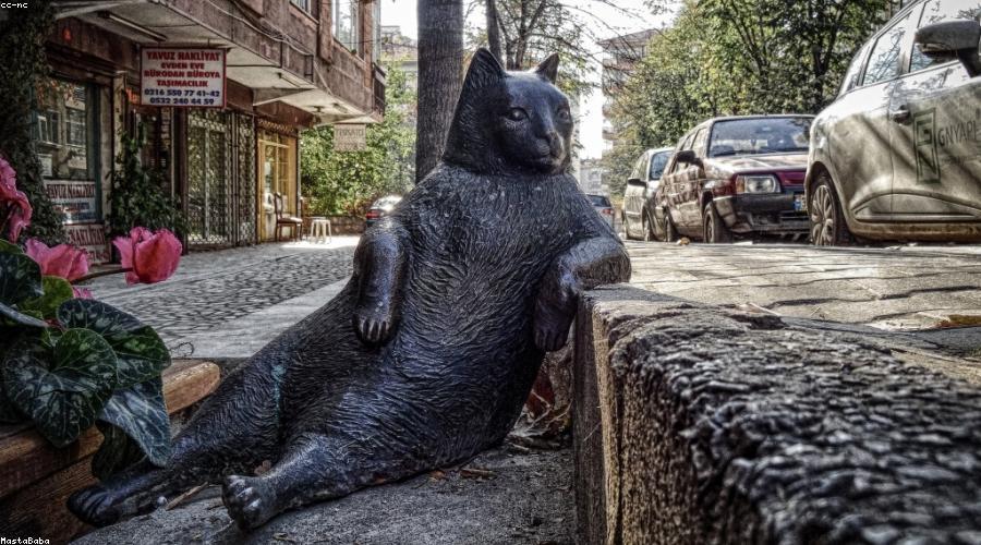 月之暗面Kimi K3上线Amazon Bedrock 首个2.8万亿参数开源权重-会懂网