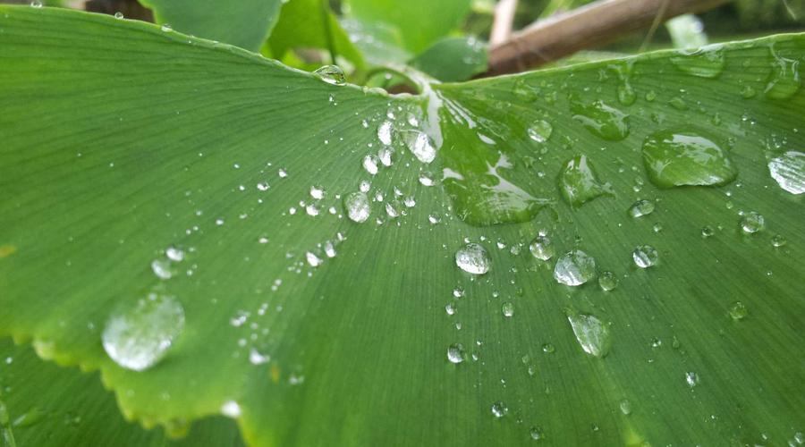 Groq并入英伟达LPU授权，GroqCloud独立运营扩数据中心-会懂网