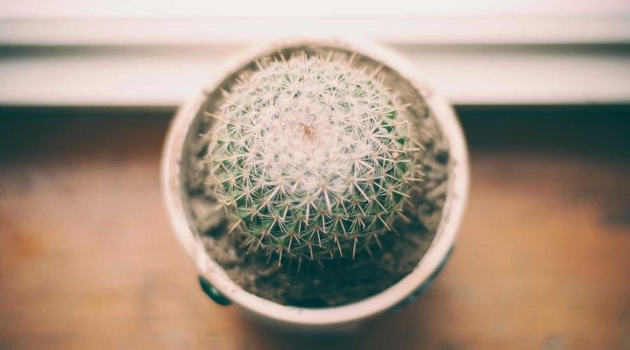 C3.ai推C3 Code自然语言造智能体，机构上调评级看增长-会懂网